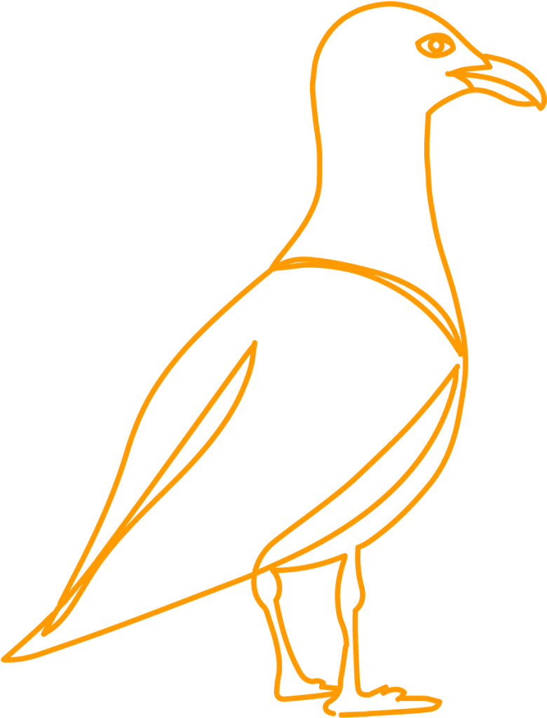 Illustration de goéland, symbole de l'AFRECA (Association Française de Recherche en Éthologie Clinique et Anthropologique)