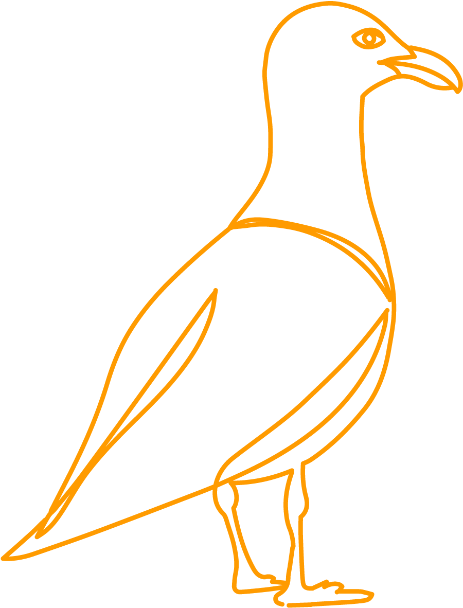 Illustration de goéland, symbole de l'AFRECA (Association Française de Recherche en Éthologie Clinique et Anthropologique)